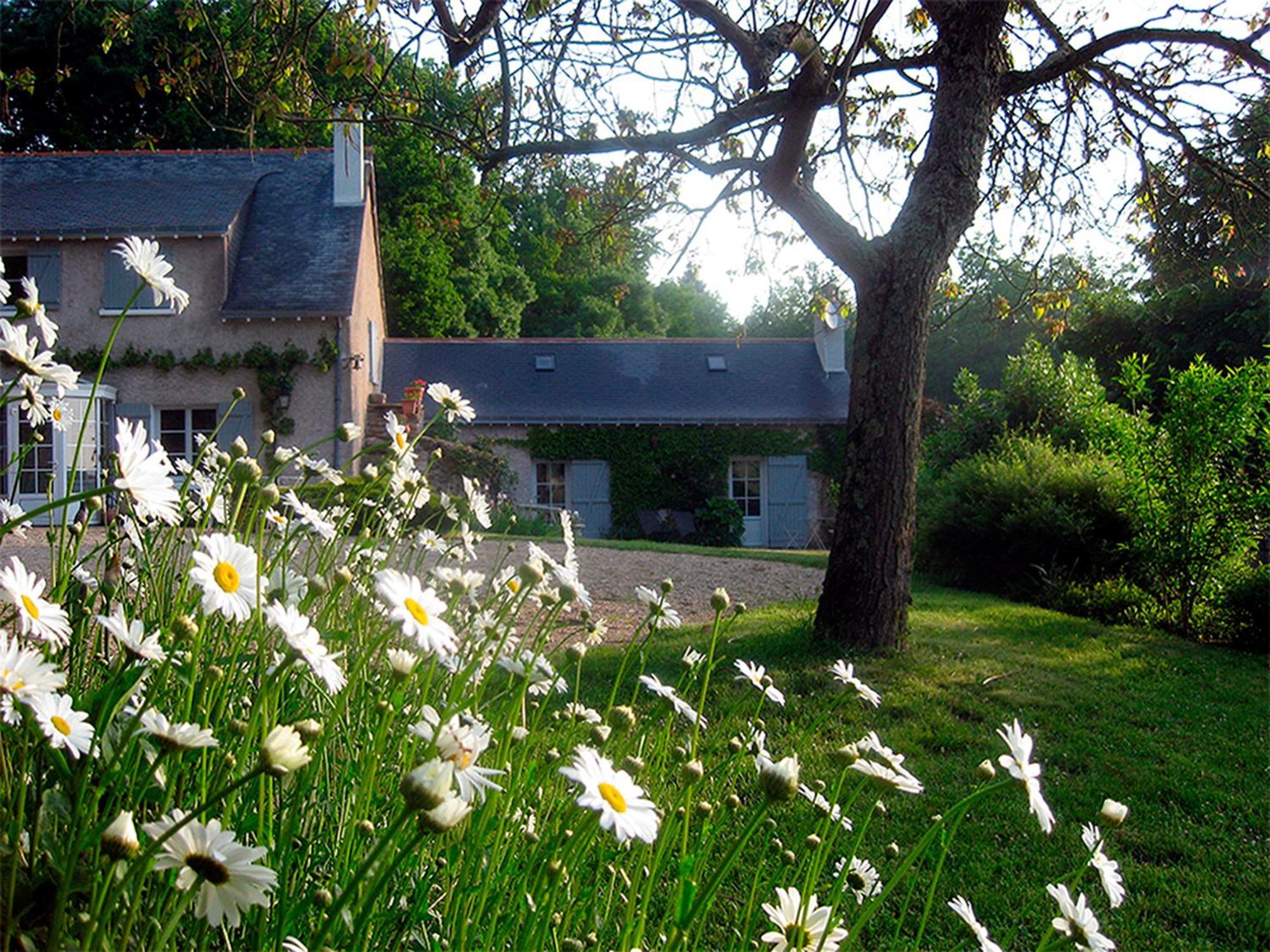 La Butte De Gohier Bed & Breakfast Blaison Eksteriør bilde