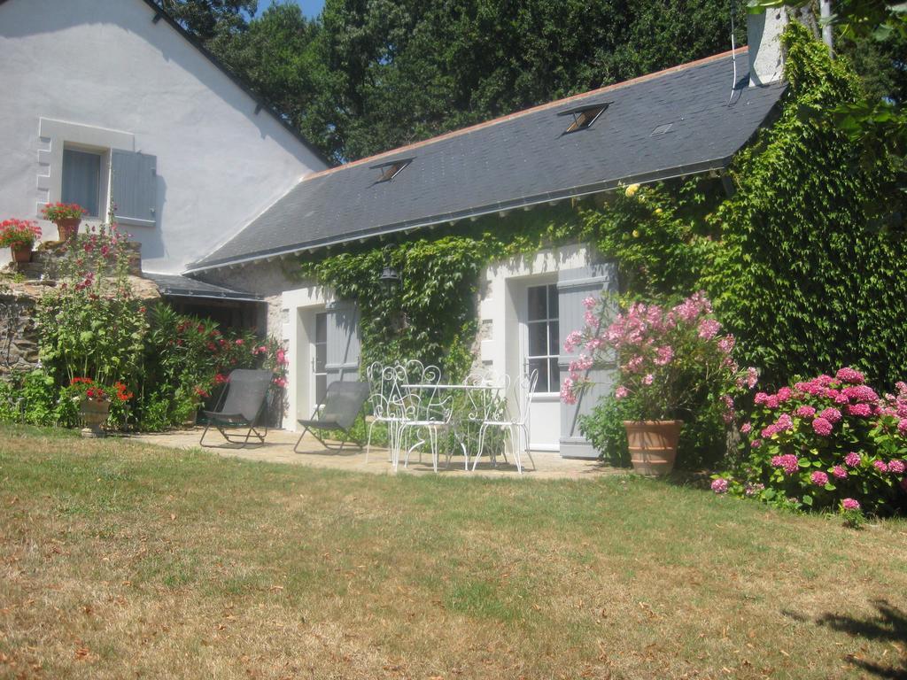 La Butte De Gohier Bed & Breakfast Blaison Eksteriør bilde